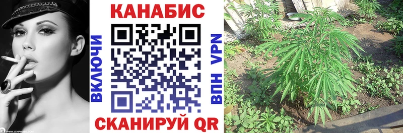 где найти MEGA как войти Шишки марихуана индика Оха